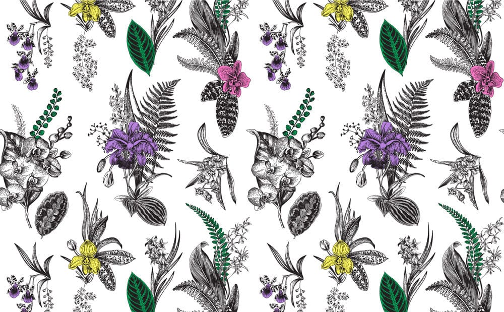 Peinture murale orchidée avec motif floral exotique et feuilles tropicales colorées