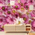 Papier peint mural Petite Marguerite Rose - Vignette | Mr Papier Peint