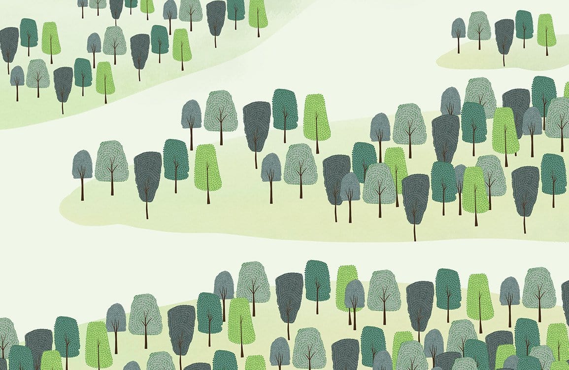 Papier peint mural Petits Arbres - Le meilleur Papier peint panoramique Sur mesure