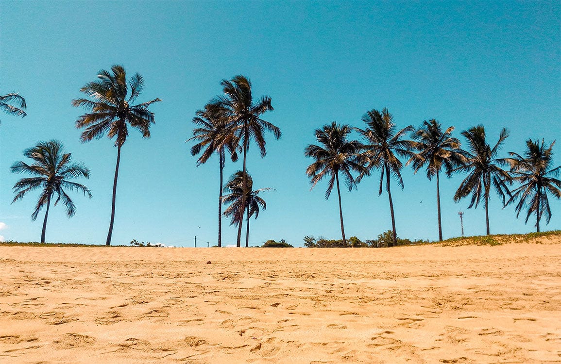 Papier peint mural Plages d’été - Le meilleur Papier peint panoramique Sur mesure