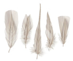 Papier Peint Mural Plumes Différentes Élégance et Douceur Gris et Jaune - Vignette | Mr Papier Peint