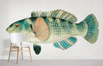 Papier peint mural Poisson Labre - Vignette | Mr Papier Peint