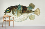 Papier Peint Mural Poisson Porc-épic Diodon - Vignette | Mr Papier Peint