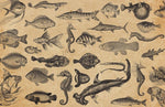 Papier peint mural Poissons de l'Océan - Vignette | Mr Papier Peint