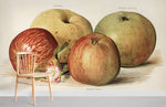 Éclat rétro avec papier peint mural Pommes Vintage - Vignette | Mr Papier Peint