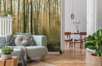Papier Peint Mural Poussière de Forêt Sérénité au Petit Matin - Vignette | Mr Papier Peint