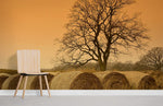 Papier peint mural Prairie d'Automne - Vignette | Mr Papier Peint