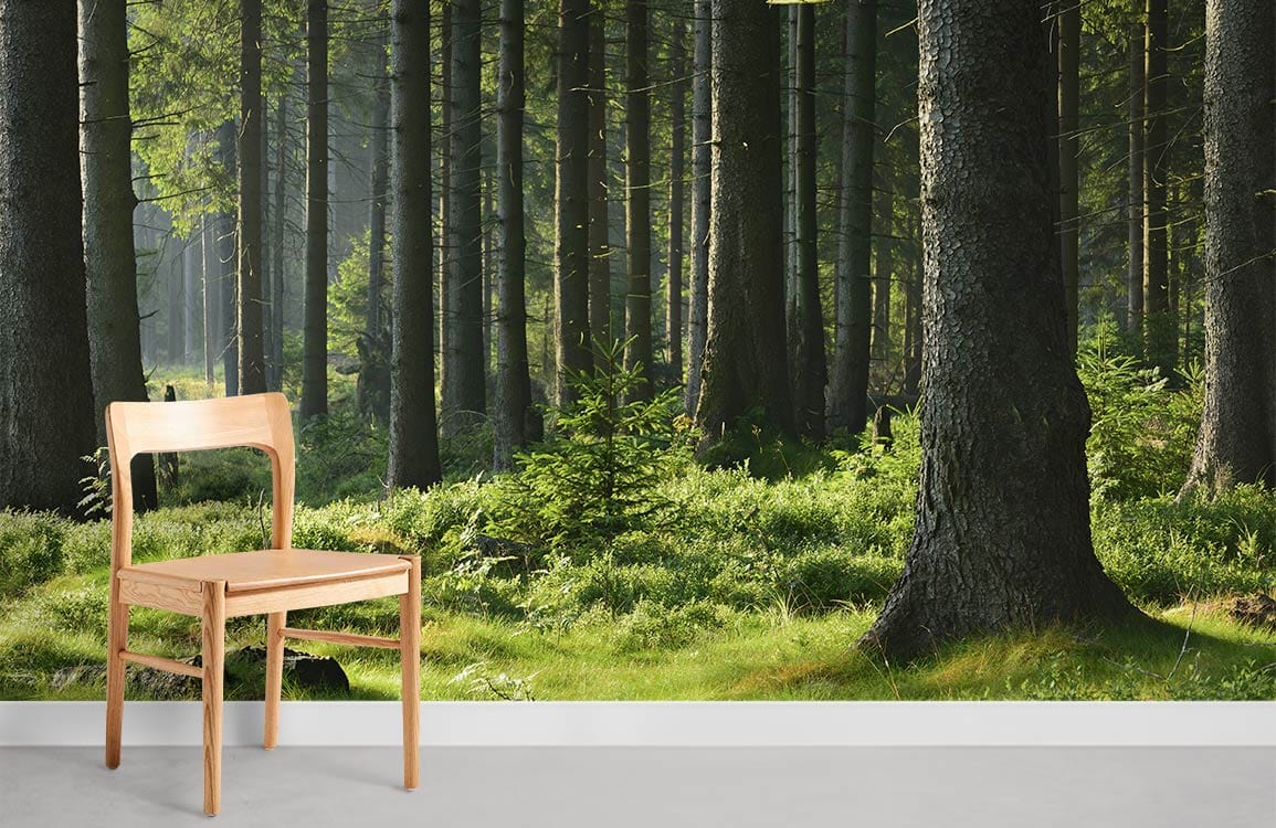 Chaise en bois clair avec design moderne pour papier peint mural forêt profond