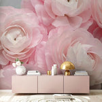 Papier peint mural Ranunculus rose pâle - Vignette | Mr Papier Peint