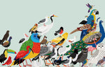 Papier peint mural Rassemblement d'oiseaux - Vignette | Mr Papier Peint