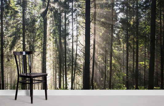 Chaise en bois sombre avec dossier à lattes sur le papier peint mural Rayons de soleil