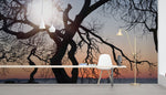 Papier peint mural soleil à travers brindilles et canapé gris incurvé - Vignette | Mr Papier Peint