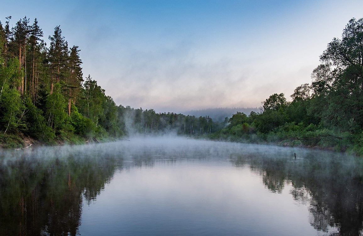 Papier Peint Mural Réflexion de Forêt - Le meilleur Papier peint panoramique Sur mesure
