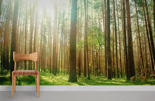 Chaise en bois clair avec siège en cuir tressé, idéal pour peinture murale réflexion