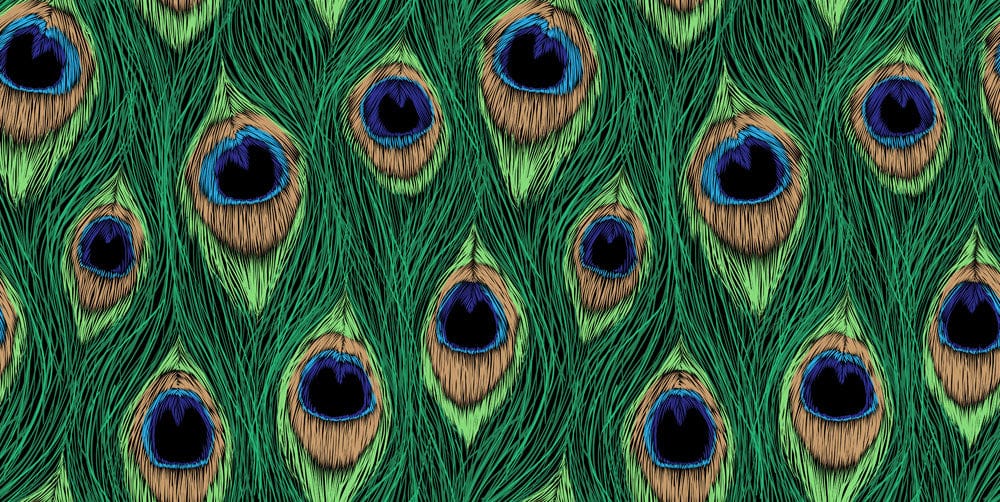 Papier peint mural avec plumes de paon vibrantes, œuvre d’art pour décor mural