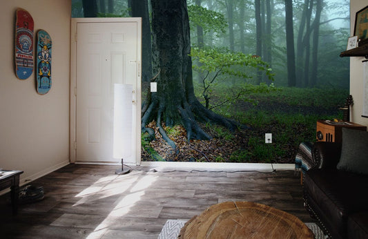 Peint mural représentant une germination en forêt pour décoration personnalisée et papier peint panoramique