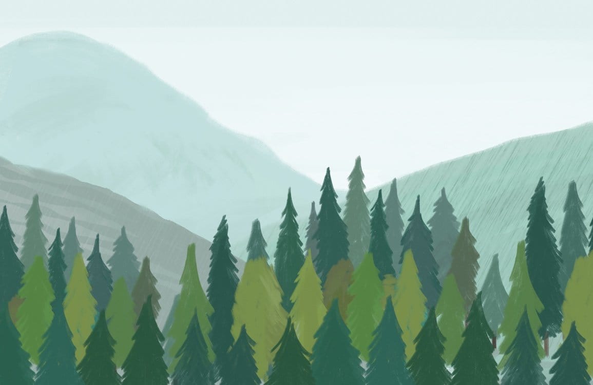 Papier peint mural représentant une forêt - Le meilleur Papier peint panoramique Sur mesure