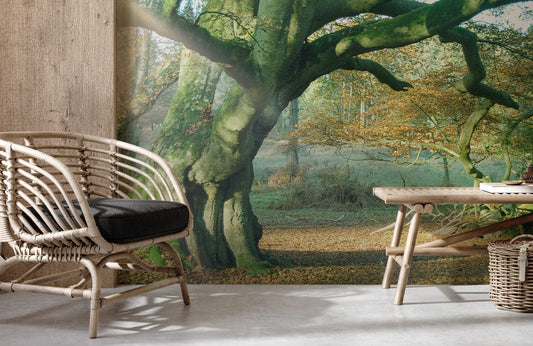 Armchair en rotin clair avec coussin noir, idéal pour un papier peint mural forêt soleil