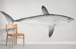 Papier peint mural Requin-taupe commun - Vignette | Mr Papier Peint