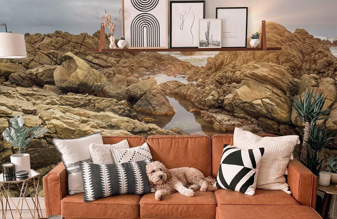Photo d’un salon cosy avec un canapé orange brûlé, décorations et chien, mural rocher
