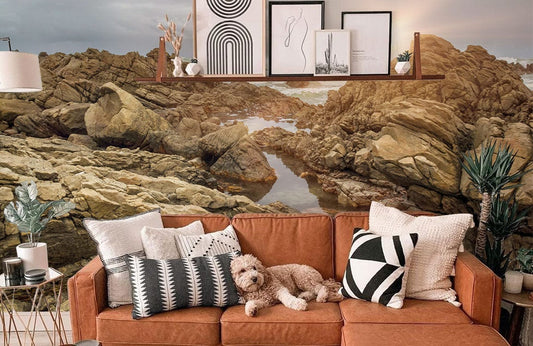 Photo d’un salon cosy avec un canapé orange brûlé, décorations et chien, mural rocher