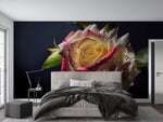 Papier peint mural rose arc-en-ciel éclat féerique pour votre intérieur - Vignette | Mr Papier Peint