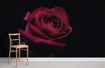 Papier Peint Mural Rose de Minuit - Vignette | Mr Papier Peint