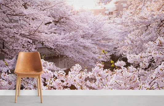 Papier peint mural saison des sakuras - Le meilleur Papier peint panoramique Sur mesure