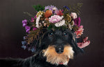 Papier peint mural Schnauzer avec des fleurs - Vignette | Mr Papier Peint