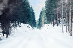Élégance nordique avec le papier peint panoramique Snow Lane - Vignette | Mr Papier Peint