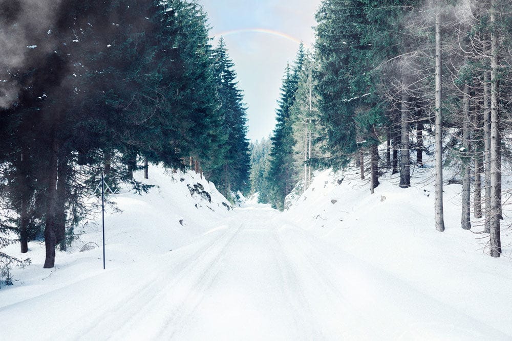 Papier peint mural Snow Lane avec route enneigée et arbres à feuilles persistantes