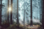 Papier peint mural Soleil à travers le brouillard et table en bois clair - Vignette | Mr Papier Peint