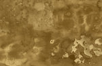 Papier peint mural teinté vintage pour une ambiance pleine de charme - Vignette | Mr Papier Peint