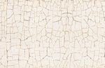 Œuvre d’art mural Terre Craquelée éclat du dieu peint mural - Vignette | Mr Papier Peint