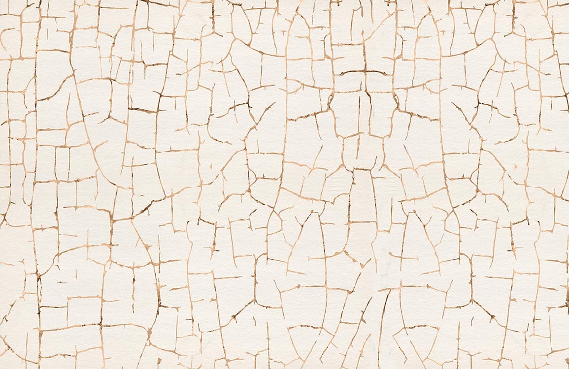 Papier peint mural Terre craquelée - Le meilleur Papier peint panoramique Sur mesure