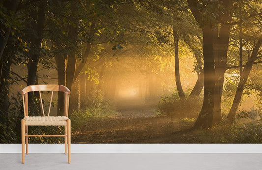 Chaise de salle à manger en bois clair avec siège tissé, idéal pour peint mural truie