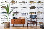 Papier peint mural Types de poissons - Vignette | Mr Papier Peint