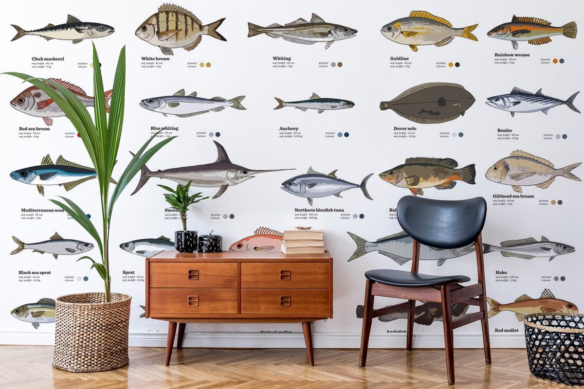 Papier peint mural Types de poissons - Le meilleur Papier peint panoramique Sur mesure