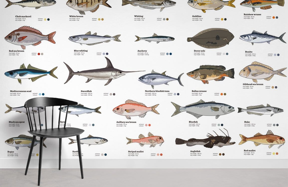 Papier peint mural Types de poissons - Le meilleur Papier peint panoramique Sur mesure