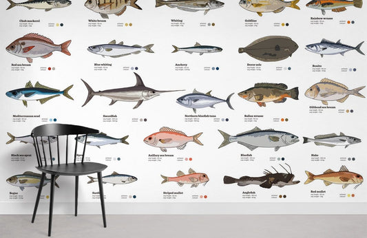 Papier peint mural Types de poissons - Le meilleur Papier peint panoramique Sur mesure