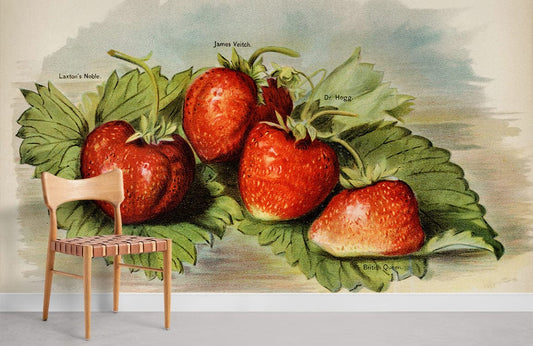 Illustration botanique antique de variétés de fraises pour peinture murale vintage aux motifs de fraises
