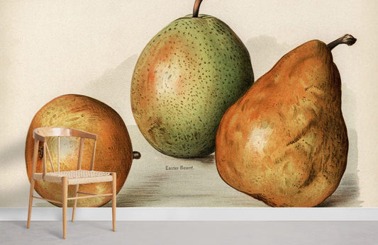 Chaise en bois avec siège tissé, idéal pour un peint mural vintage ou papier peint mural