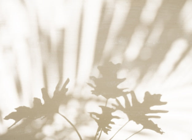 Ombres douces de feuilles beiges sur fond lumineux, papier peint sur mesure