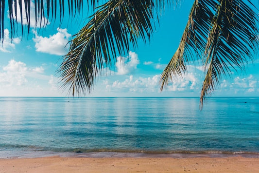 Papier Peint Paradis Tropical – Plage de Rêve Évasion - Le meilleur Papier peint panoramique Sur mesure