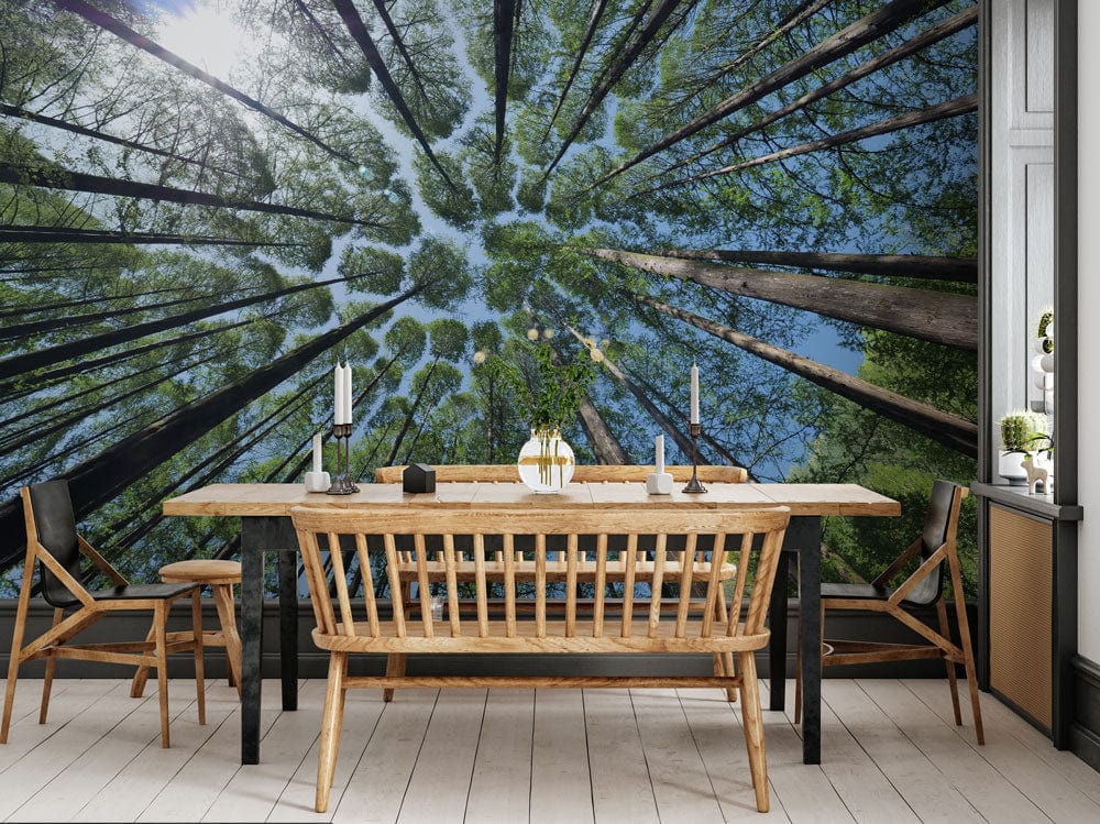 Papier peint représentant le ciel dans les fissures de la forêt - Le meilleur Papier peint panoramique Sur mesure