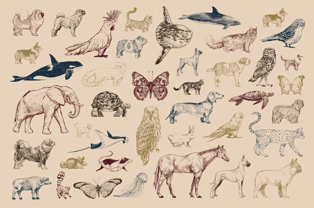 Papier Peint Safari Chic: Collection Animaux Illustrés! - Le meilleur Papier peint panoramique Sur mesure