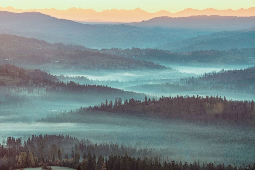Papier peint panoramique forêt brumeuse bleue avec paysage de montagnes et collines