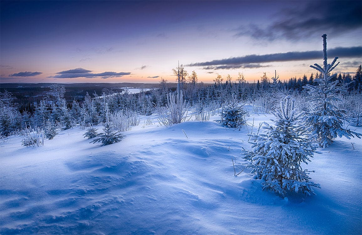 Paysage de neige au lever du jour - Papier peint mural - Le meilleur Papier peint panoramique Sur mesure